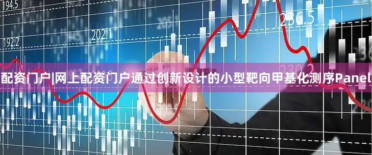 配资门户|网上配资门户通过创新设计的小型靶向甲基化测序Panel