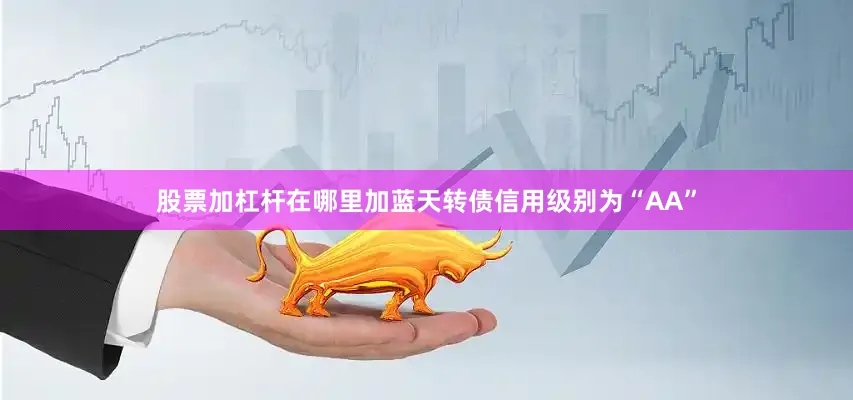 股票加杠杆在哪里加蓝天转债信用级别为“AA”