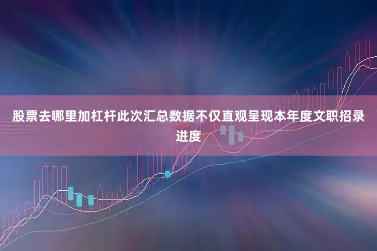 股票去哪里加杠杆此次汇总数据不仅直观呈现本年度文职招录进度