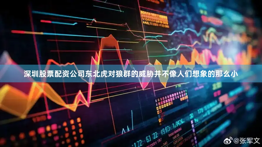 深圳股票配资公司东北虎对狼群的威胁并不像人们想象的那么小